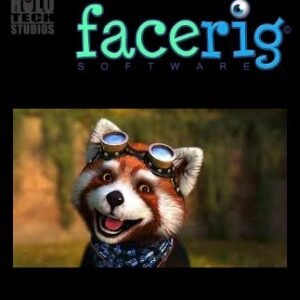 FaceRig Steam Key GLOBAL